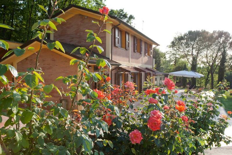 Agriturismo Di Paterno سارزانا المظهر الخارجي الصورة